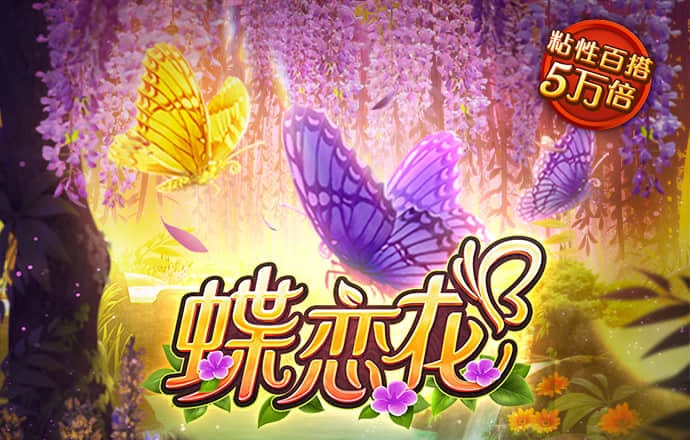 hlw.bet官网最新版本更新内容